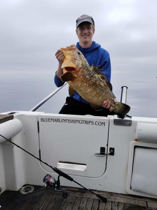 Massive Mediterranean Grouper Catch | Deep Sea Victory